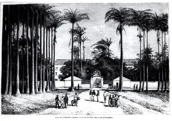 Place des Palmistes, Cayenne, Guyane