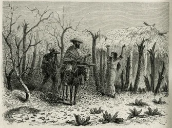 Les nuages de sauterelles de la vallée du Haut Patia, avec sur sa mule le narrateur du voyage (illustration de l