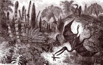 La Terre à l