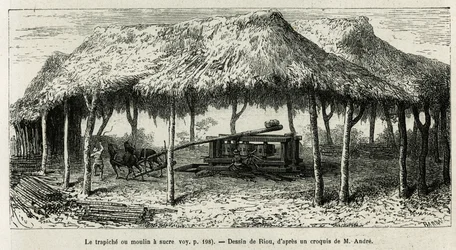 Le trapiche, ou moulin à sucre pour broyer les cannes à Panche (Colombie), dessin de Riou, pour illustrer l