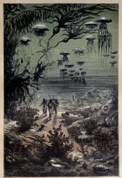 Sol sous-marin. Illustration par Edouard Riou pour le roman "Vingt mille lieues sous les mers" de Jules Verne 19ème siècle Collection privée