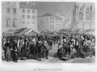Marché à Bayonne, Pyrénées-Atlantiques, Aquitaine, France. Gravure par Willmann dans « La France ancienne et moderne » de Jean-Bernard Mary-Lafon