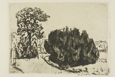 Soirée au parc