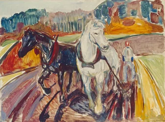 Attelage de chevaux