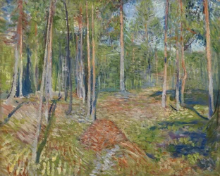 Forêt de pins, 1891-1892