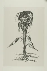 Vignette : Amaryllis