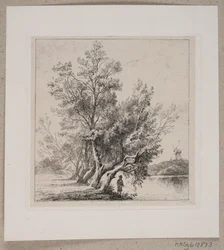 Saules près du fossé de la ville