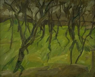 Arbres sur le rempart de Christianshavn