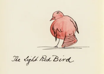 Edward Lear, Le Livre des Oiseaux : L