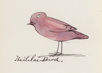 Edward Lear, Le Livre des Oiseaux : L