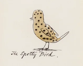 Edward Lear, Le Livre des Oiseaux : L