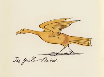 Edward Lear, Le Livre des Oiseaux : L