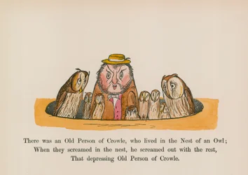 Il y avait une vieille personne de Crowle, qui vivait dans le nid d