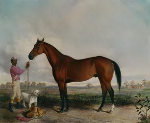 Enquirer, Cheval Bai