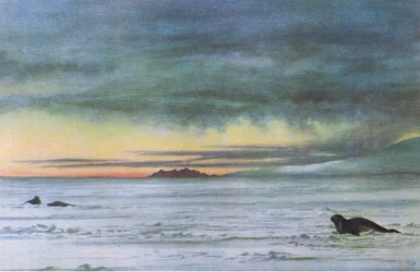 Regardant vers le nord dans le détroit de McMurdo, de British Adventure publié par Collins, 1947