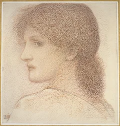 Étude de la tête d