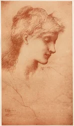 Beauté