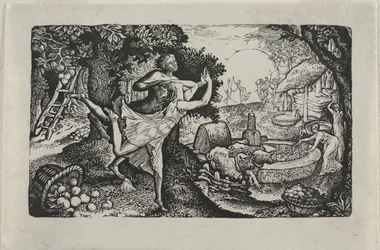 La Fête du Cidre