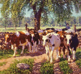 Le long de la route
