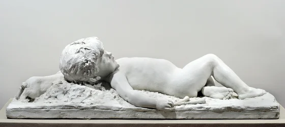 Faune endormi