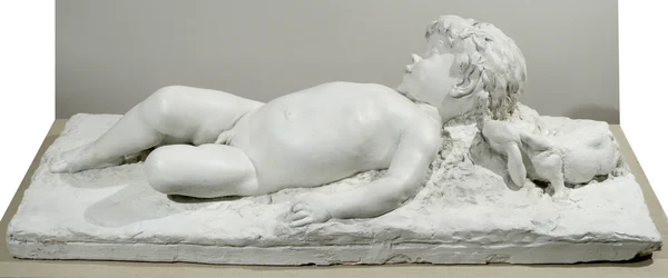 Faune Endormi