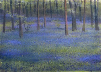 Bois de Jacinthes