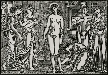 La Cour de Vénus