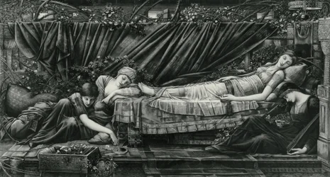 La Roseraie, de la série Briar Rose