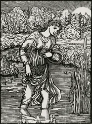 La tâche des roseaux