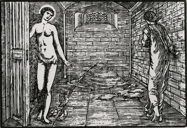 La tâche des graines