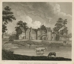 Vue des maisons de peste à Tothill Fields, Londres