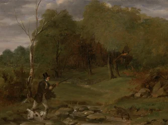 Chasse au faisan