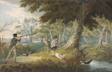 Chasse au faisan