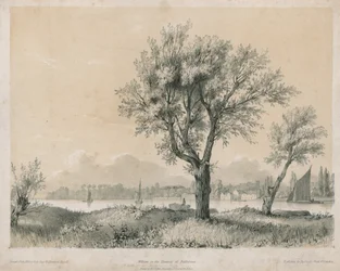 Saules sur la Tamise à Battersea