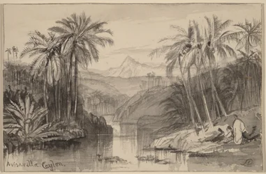 Avisavella, Ceylan