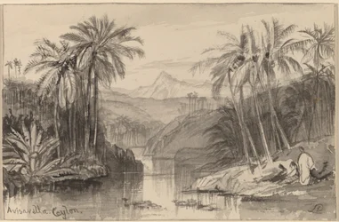 Avisavella, Ceylan