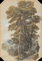 Corps des carrières, 28 juin 1838