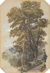 Corpo di Cava, le 28 juin 1838