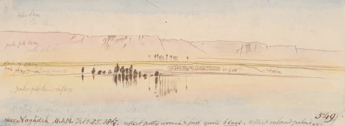 Près de Negadeh; 8:00 A.M., 25 fév. 1867 (549)