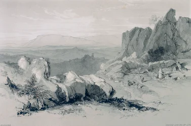 Vue d