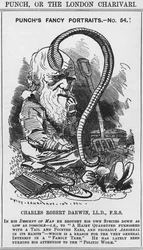 Charles Darwin, portraits fantaisistes de Punch, No 54, illustration de 