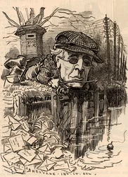 Henry Fawcett (1833-1884)