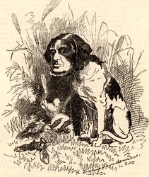 William GGV Vernon Harcourt (1827-1904)