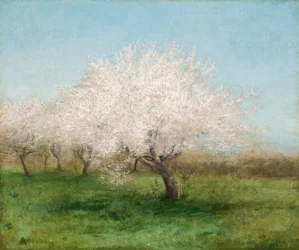 Pommiers dans un pré 1890