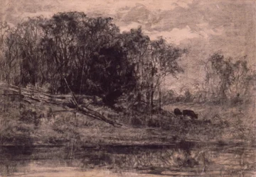 Vaches dans la forêt