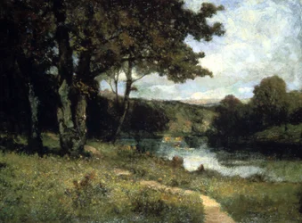 Arbres près d