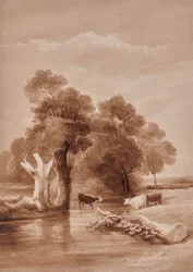 Paysage avec ruisseau
