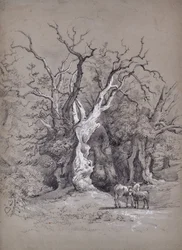Paysage avec arbre