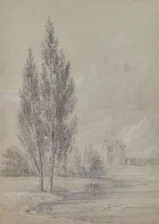 Paysage avec arbres près du lac