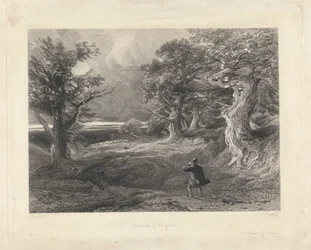 Périphérie de la forêt